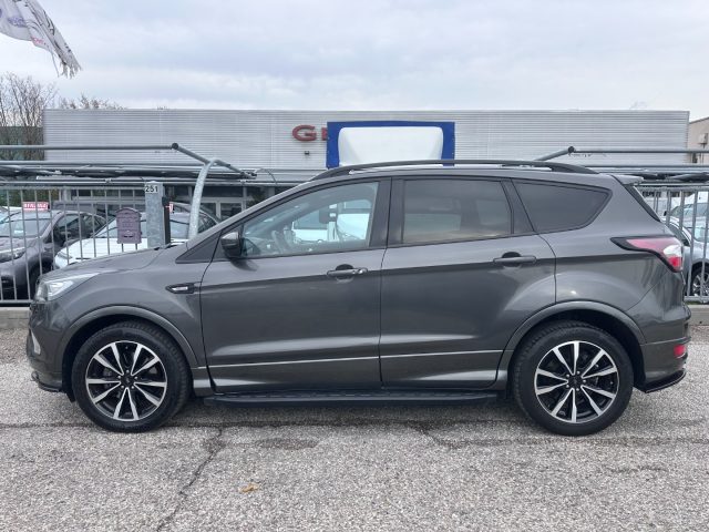 ford kuga 1.5 tdci 120 cv st-line usata