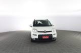 FIAT Panda Panda 1.0 FireFly Hybrid City Life