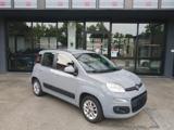 FIAT Panda 1.2 EasyPower LOUNGE *GPL* PERFETTA x NEOPATENTATI