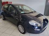 FIAT Punto 1.3 MJT II 75 CV 5 porte Street