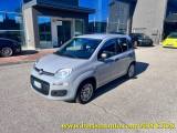 FIAT Panda 1.2 Easy / Kit 5 posti