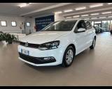 VOLKSWAGEN Polo 1.4 TDI 5p. Trendline