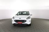 FORD Kuga Kuga 1.5 EcoBlue 120 CV aut. 2WD Titanium Business
