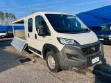FIAT Ducato 35 2.3 MJT 140CV PLM-SL DOPPIA CABINA Maxi+IVA