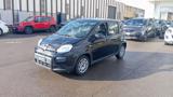 FIAT Panda *PROMO* 1.0 FireFly S&S Hybrid