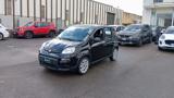 FIAT Panda *PROMO* 1.0 FireFly S&S Hybrid