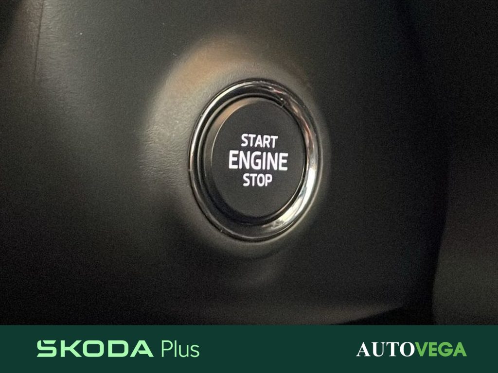 immagine usato SKODA Karoq 2.0 tdi evo sportline 115cv dsg