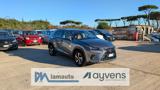 LEXUS NX 300h HYBRYD LUXURY 2.5cc197cv 4WD F-SPORT