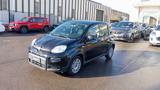 FIAT Panda *PROMO* 1.0 FireFly S&S Hybrid