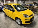 FIAT Panda 1.0 FireFly S&S Hybrid Pop - KM 0