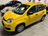 FIAT Panda 1.0 FireFly S&S Hybrid Pop - KM 0 - PREZZO PROMO