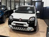 FIAT Panda 1.0 FireFly S&S Hybrid Pandina