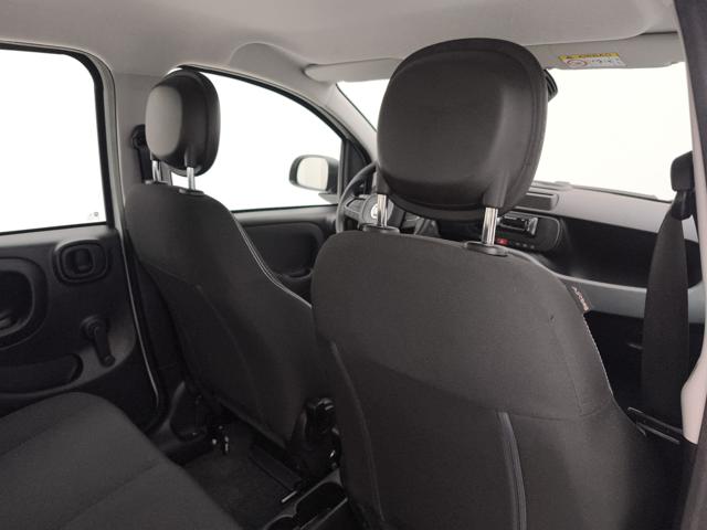 FIAT PANDA 1.0 FIREFLY HYBRID POP S&S 70CV - foto 21