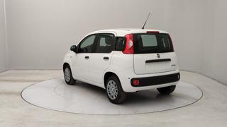 FIAT Panda usata, con Airbag laterali