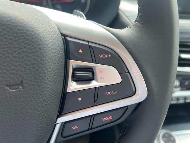 FOTON TUNLAND G7 TUNLAND G7 2.0 TDI DOPPIA CABINA - foto 24
