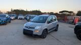 FIAT Panda HYBRID CITYLIFE 1.0cc 70cv