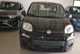 FIAT Panda 1.0 FireFly S&S Hybrid Icon