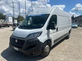 FIAT LAMIERATO  DUCATO