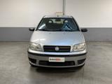 FIAT Punto 1.2 5 porte Active