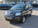 FIAT Panda Gpl/B 1.0 FireFly S&S