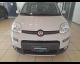 FIAT Panda III -  1.3 mjt 16v 4x4 75cv E5+