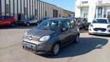 FIAT Panda *PROMO* 1.0 FireFly S&S Hybrid