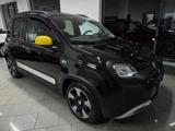 FIAT Panda 1.0 FireFly S&S Hybrid Pandina