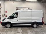 FORD Transit 310 2.0TDCi EcoBlue PM-TM Furgone Trend
