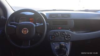 FIAT Panda usata 14