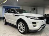 LAND ROVER Range Rover Evoque 2.2 Sd4 5p. Dynamic