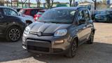 FIAT Panda HYBRID CITYLIFE 1.0cc 70cv