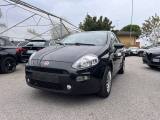 FIAT Punto 1.2 8V 5 porte Street
