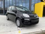 FIAT Panda 1.0 FireFly S&S Hybrid Icon