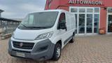 FIAT Ducato 30 2.0 MJT PC-TN Furgone COIBENTATO Az. Italia E6B