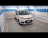 FIAT New Panda 1.0 firefly Hybrid 70cv 5 posti