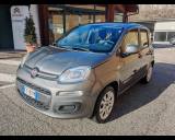 FIAT Panda 3ª serie -  1.2 Easy