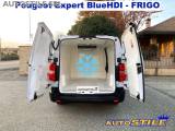 PEUGEOT Expert 1.5 Hdi FRIGO - MEDICINALI - ALIMENTI - BEVANDE