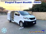 PEUGEOT Expert 1.5 Hdi FRIGO - MEDICINALI - ALIMENTI - BEVANDE