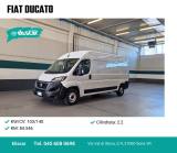 FIAT Ducato 35 2.2 Mjt 140CV PLM-TM Furgone