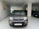 FIAT Panda 1.0 FireFly S&S Hybrid City Life da ?119,00 mensil