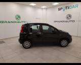 FIAT Panda III -  1.2 Easy 69cv E6