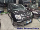 FIAT Panda 1.0 FireFly S&S Hybrid Black edition