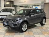 LAND ROVER Range Rover Evoque 2.0 TD4 150 CV 5p. Business Edition SE