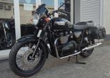 TRIUMPH Bonneville T100 .