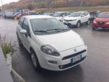FIAT Punto 1.4 8V 5 porte Naturalpower  Lounge metano