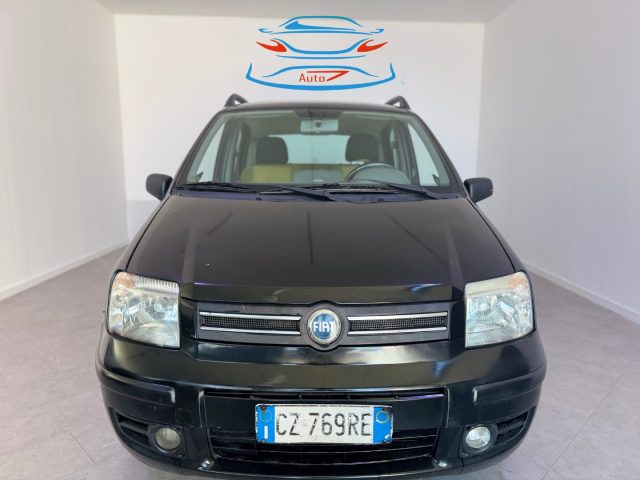 fiat panda 1.2 alessi usata