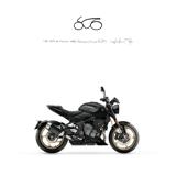 TRIUMPH Other TRIDENT 800