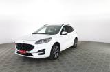 FORD Kuga Kuga 2.0 EcoBlue 120 CV aut. 2WD ST-Line