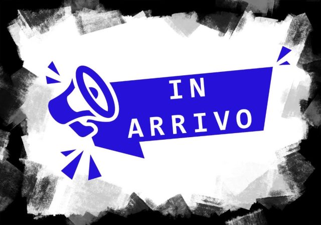 bmw x1 xdrive20d advantage usata