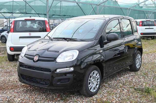 fiat panda 1.0 firefly ss hybrid pop usata